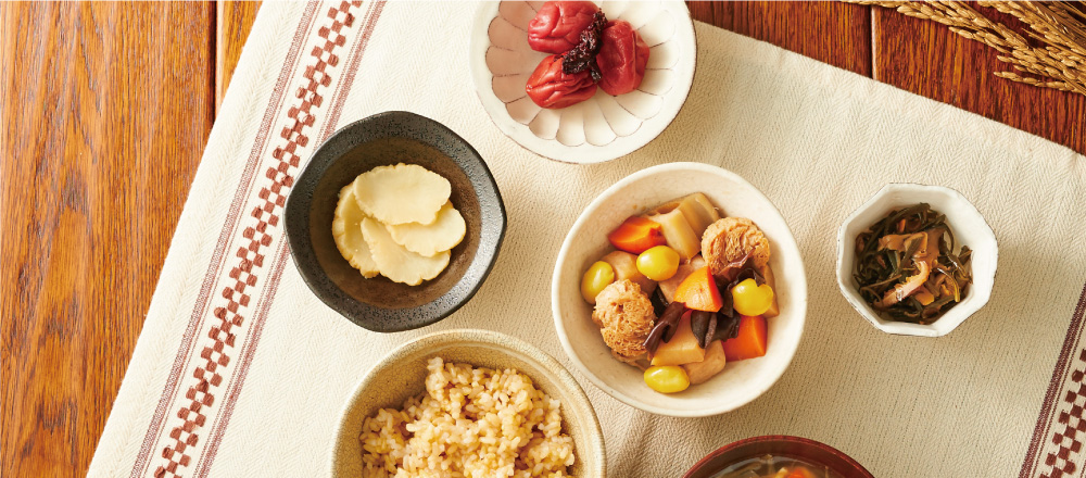 夏期（5月期）通常講座　お申込み受付中